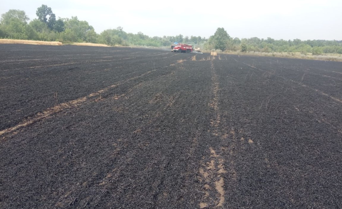 Screen67677778shot 1