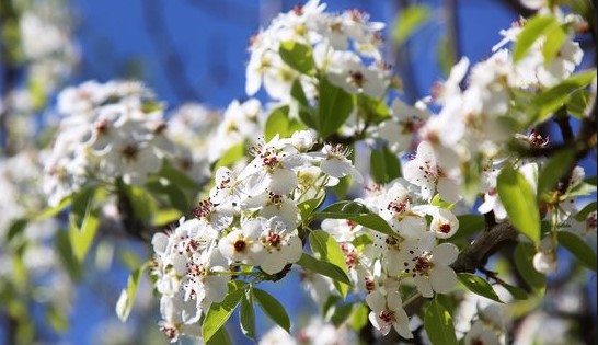 29 апреля: какой сегодня праздник, что нельзя делать и ...