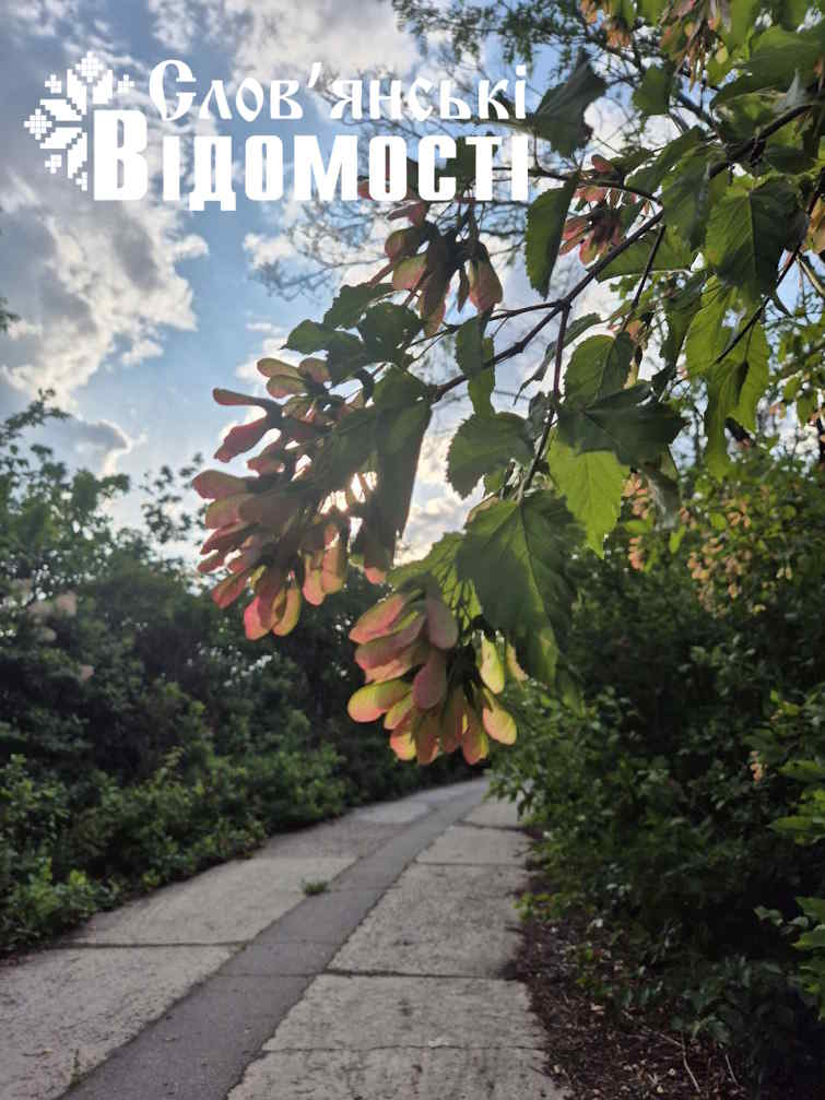 photo 2025 07 04 23 58 24