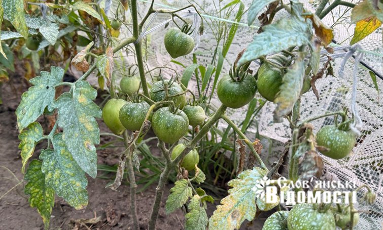 photo 2025 07 25 12 24 21 2