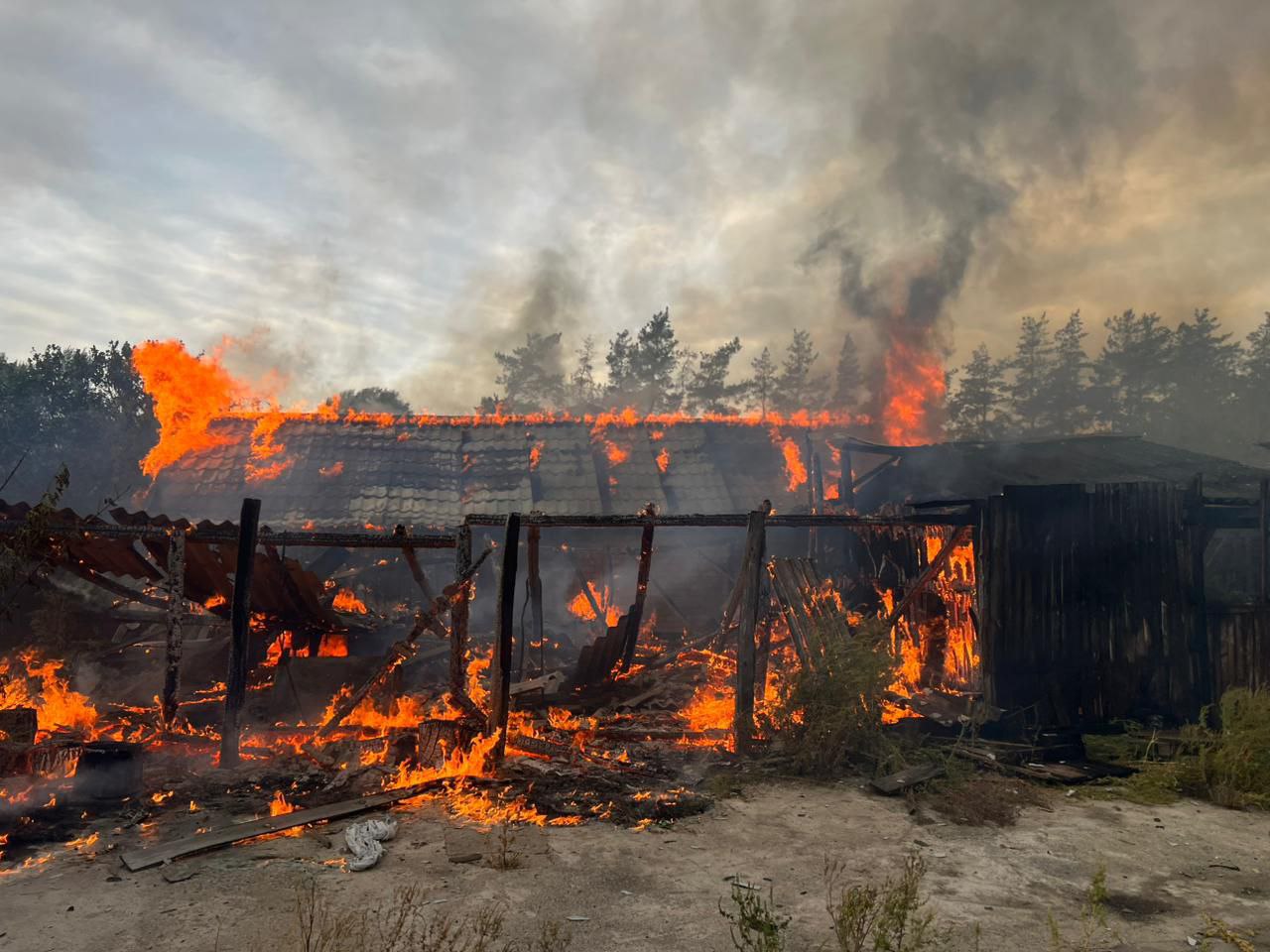 photo 2025 09 19 10 21 00