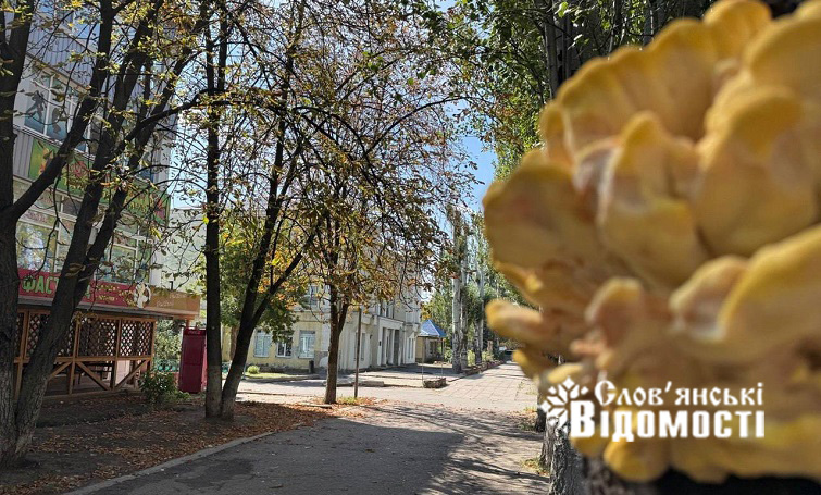 photo 2025 09 29 13 22 22