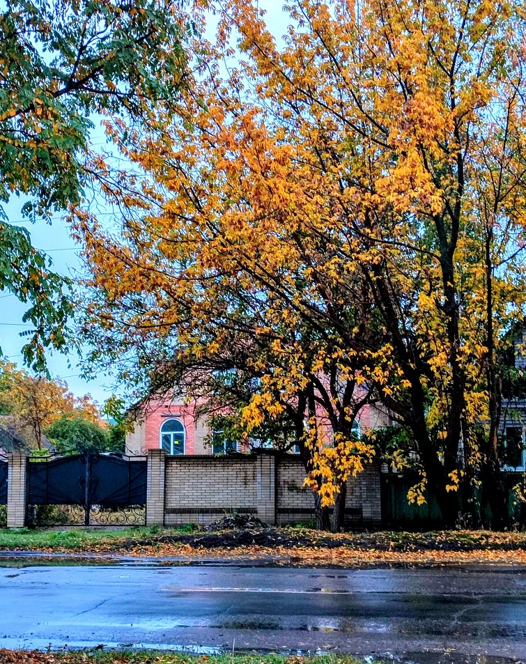 558862860 2192592427913960 4265819243553272618 n