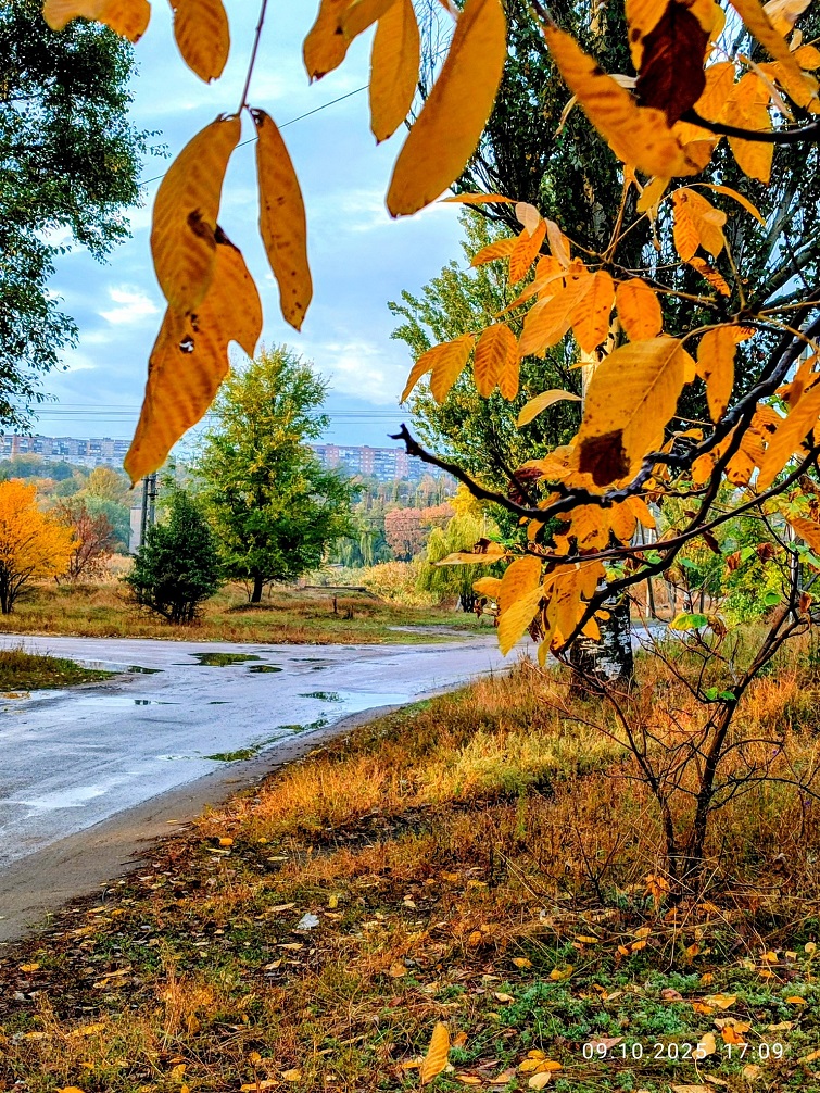 558885262 2192592377913965 499701959051557072 n