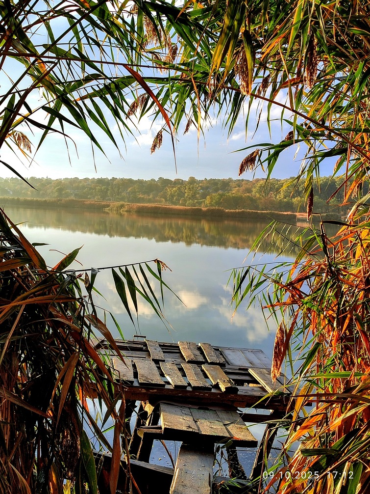 558995820 2192592564580613 2317166837452560026 n