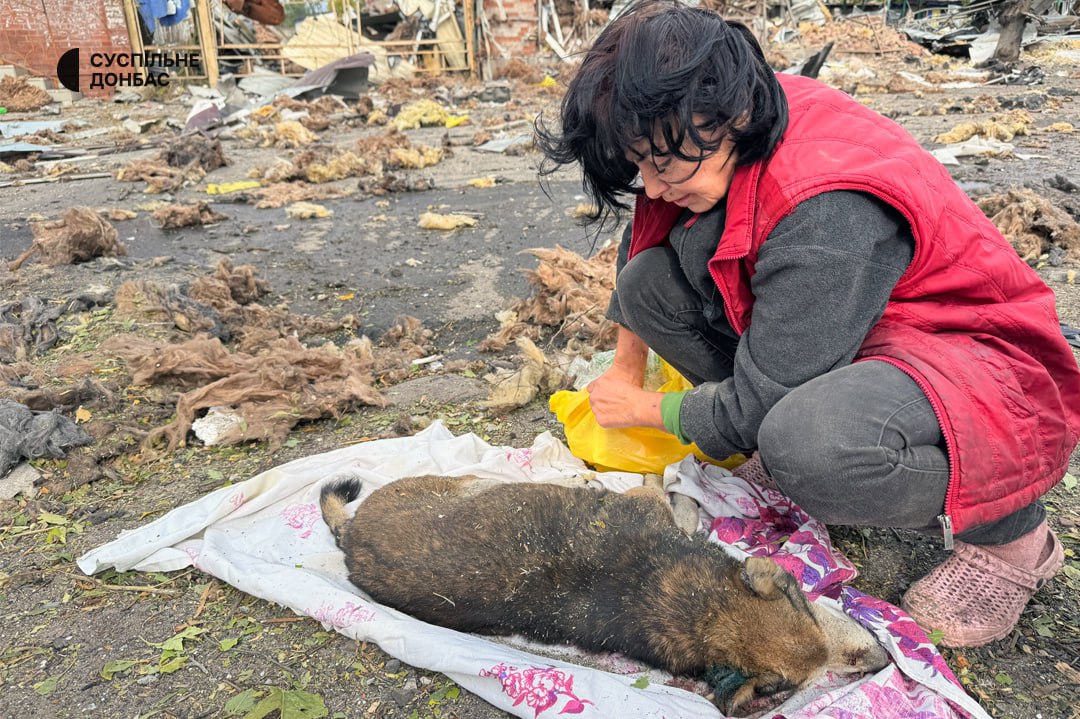 photo 2025 10 08 19 42 35 2