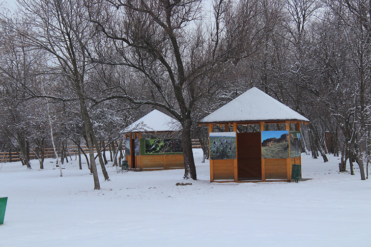 kleban buk zyma9