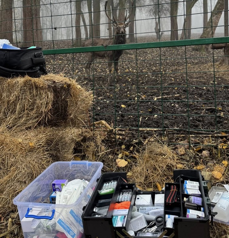 560653505 4237368133217977 7122671066292529097 n