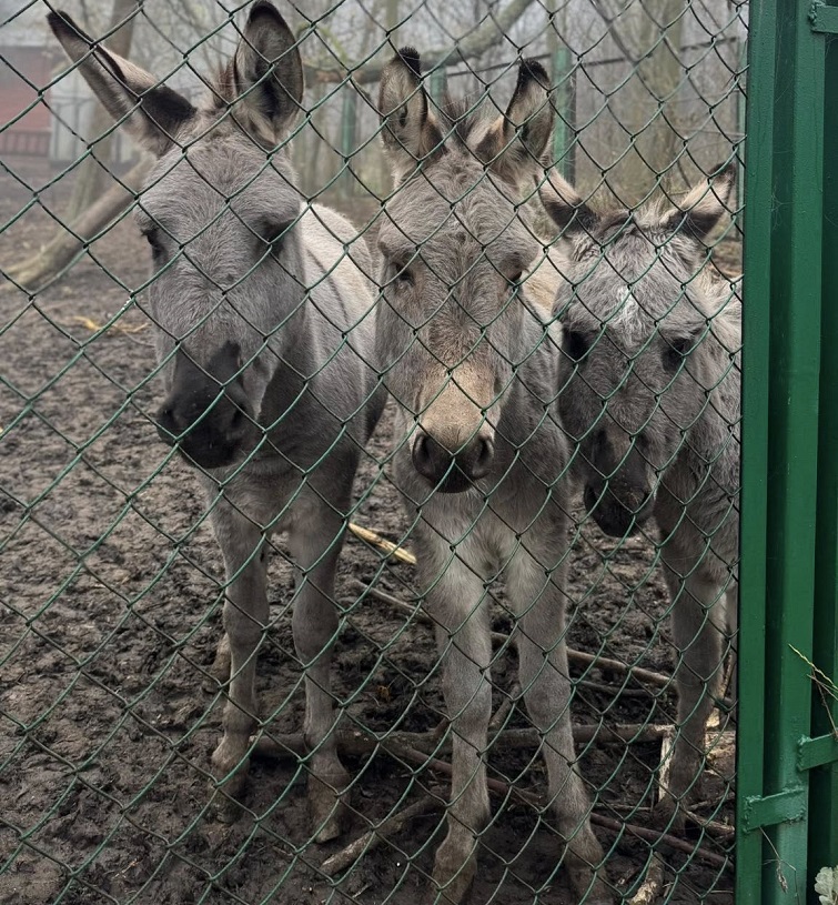 577058539 4237368236551300 3759442811786882806 n