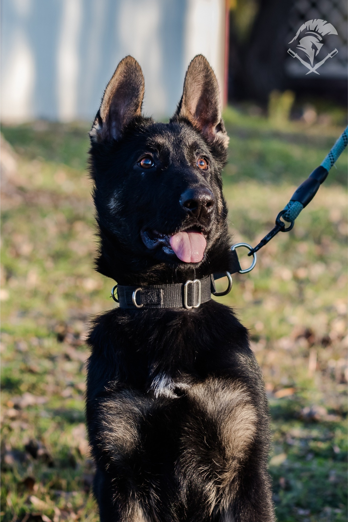 580941688 1165015299141997 678955597533447112 n