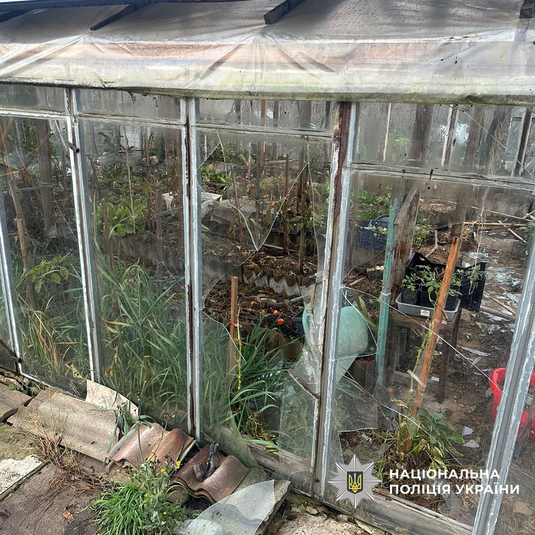 581914636 1137868061833201 3366077880320341682 n