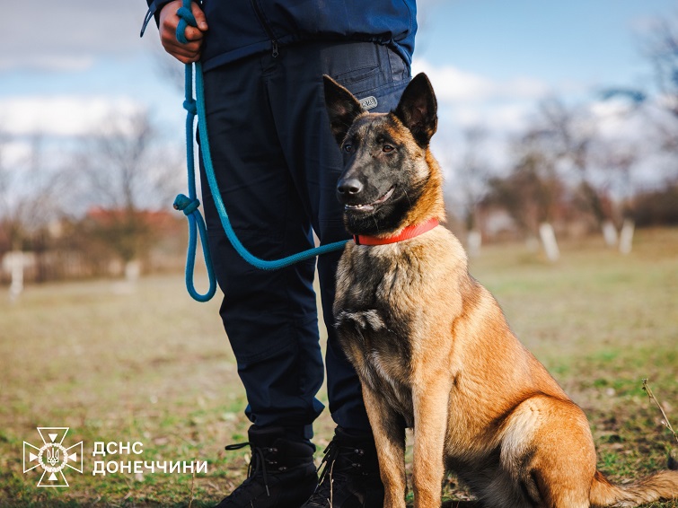 593415602 1281764023992333 4743552835162290075 n