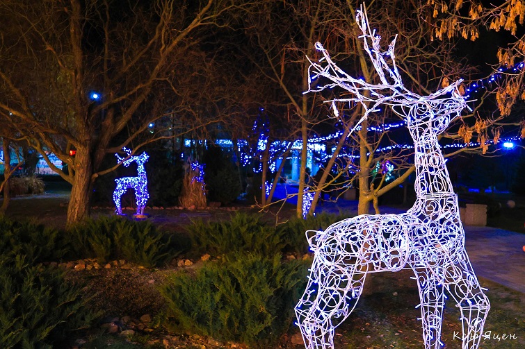 598873092 3794020847396838 371618745217428273 n