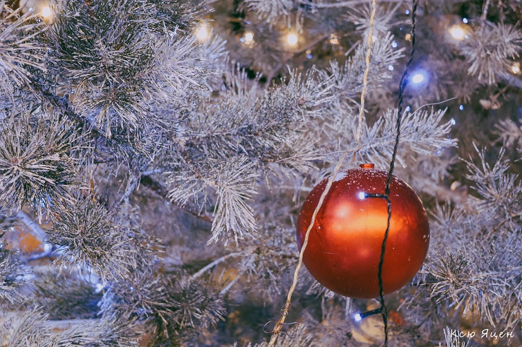 600324756 3794021167396806 3267346958514547320 n