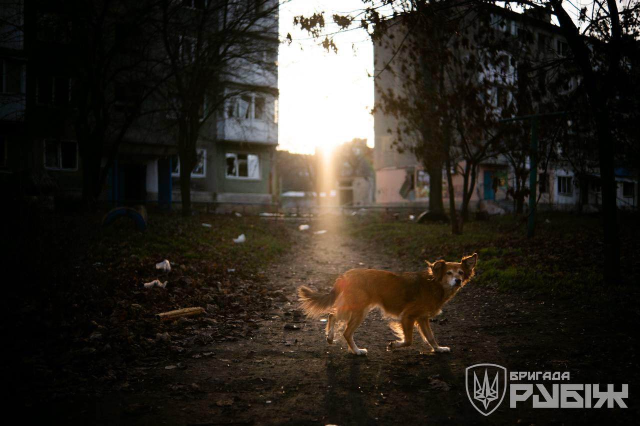 600531864 1325044112996689 6837393283337327232 n