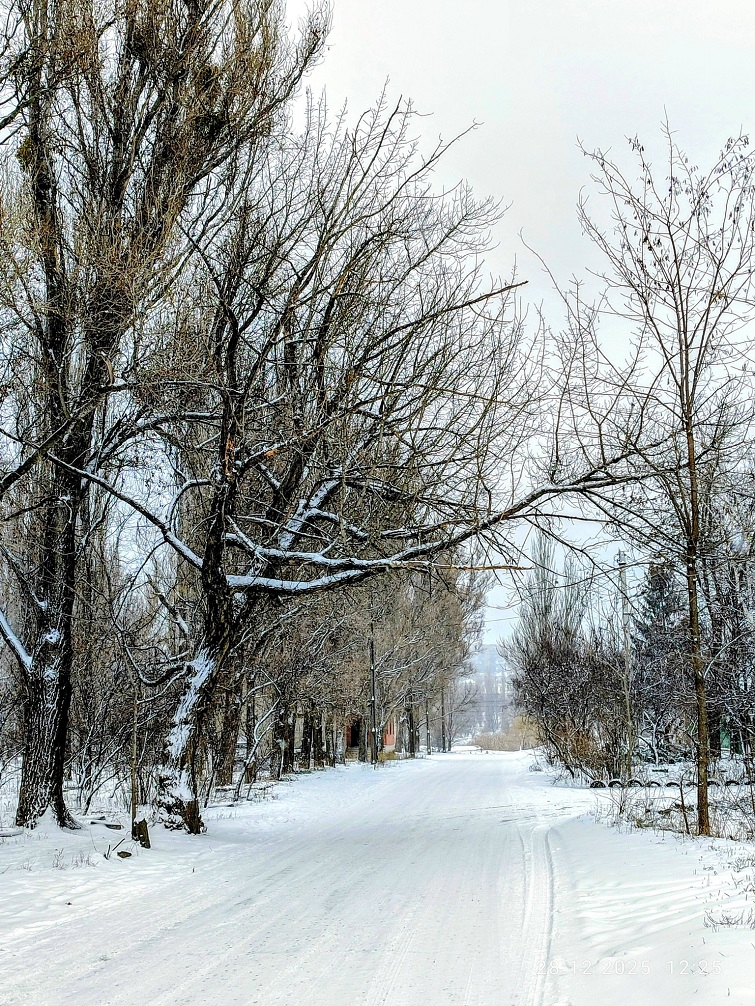 603848549 2259983091174893 3171188084965316643 n