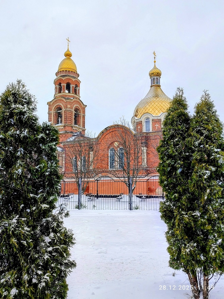 606254880 2259982801174922 4938633616482751426 n