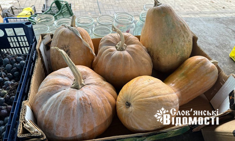 photo 2025 11 04 15 09 46