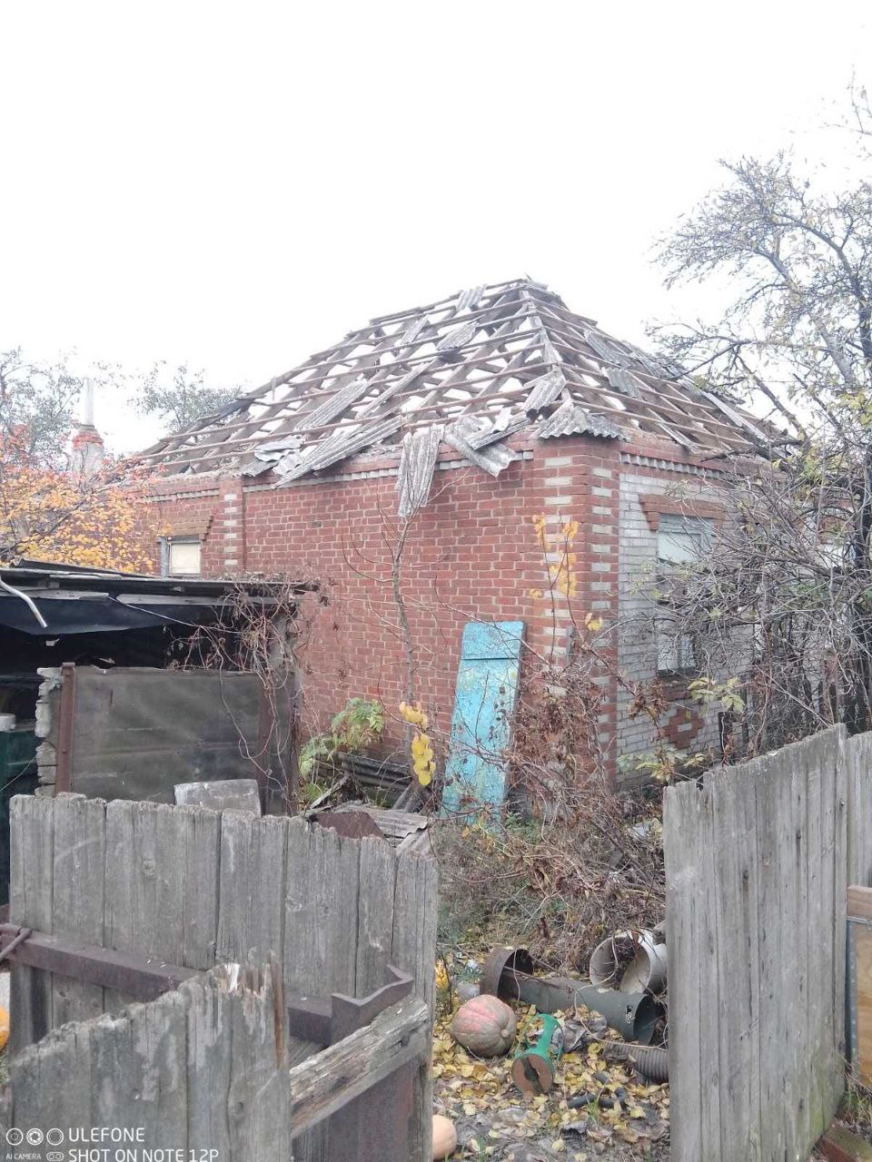 photo 2025 11 11 11 20 21