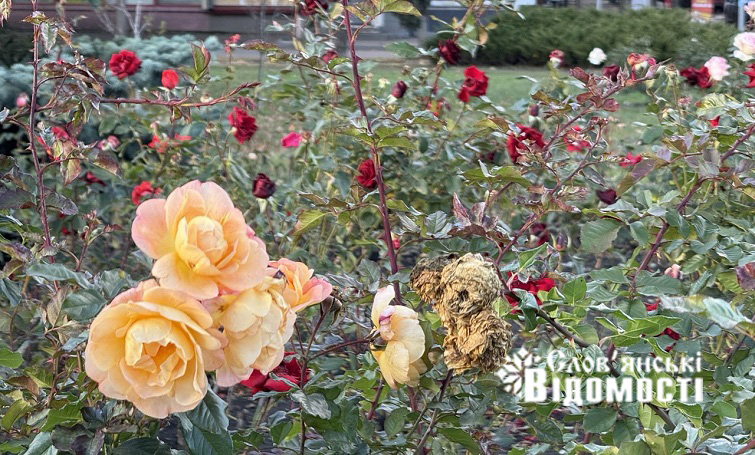 photo 2025 12 05 16 53 23