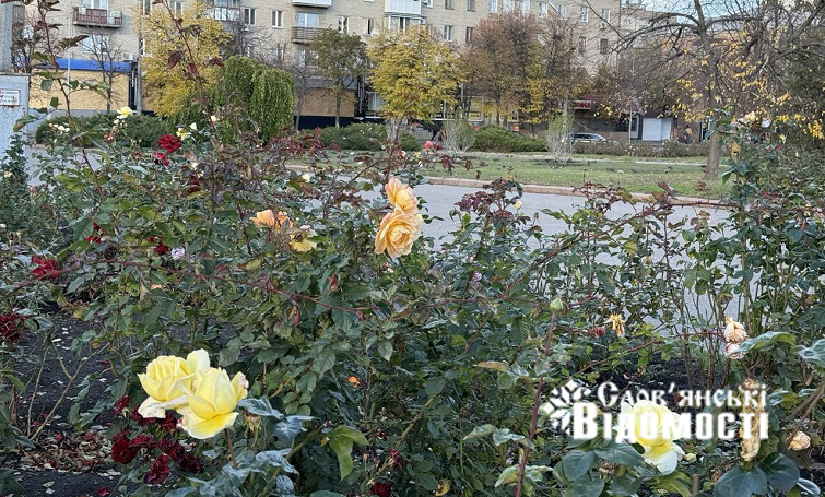 photo 2025 12 05 16 53 27