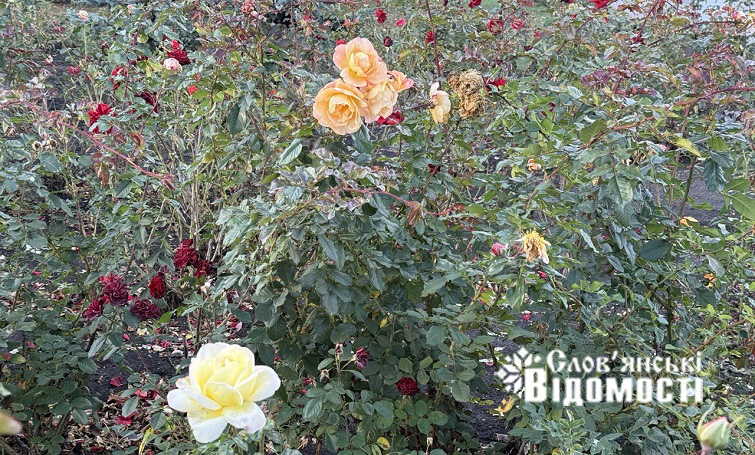 photo 2025 12 05 16 53 31