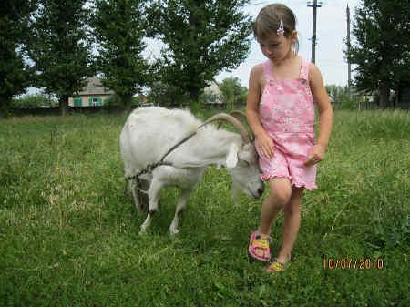 Бабушкина коза Марта!