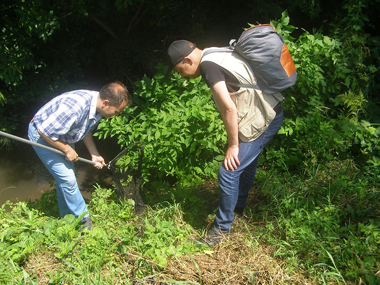 ryba5
