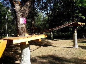 В “Юбилейном” открывается веревочный парк (Фото)