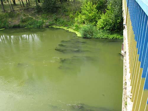 Белая вода Оскола уже пришла в Святогорск