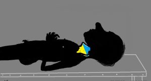 На каждом украинском посольстве за границей должен висеть плакат “Российская оккупация Крыма”