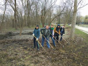 Второй день уборки в”Шелковичном” прошел не менее продуктивно, чем первый. Фото участников