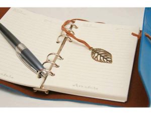 Сфера применения и преимущества органайзеров для записей