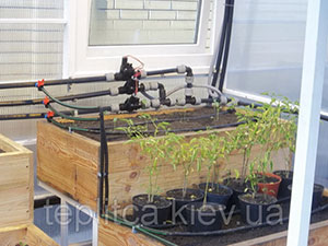 Питательные растворы для выращивания в теплице