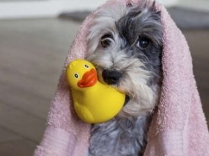 Делаем запасы: Славгорводоканал предупреждает о прекращении подачи воды во вторник