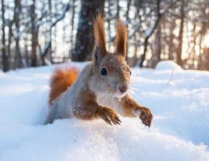 “Температурные качели”: народный синоптик предупредил о скором похолодании