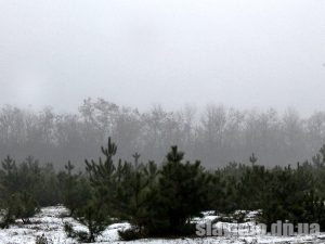 В Славянском районе введут «сезона тишины»: что запретят