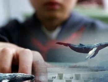 Психолог рассказала, почему подростки играют в суицидальные игры