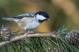 Приметы на 19 февраля: что категорически нельзя делать