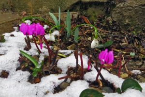 Приметы на 28 февраля: что категорически нельзя делать