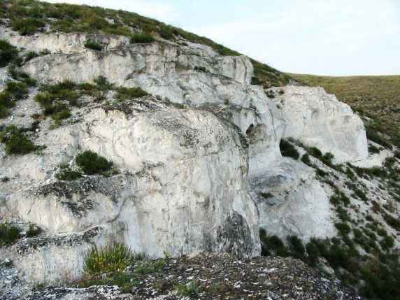 В Донецькій області оголошено новий заказник