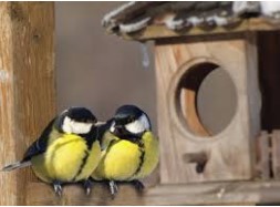 Приметы на 23 февраля — день Прохора