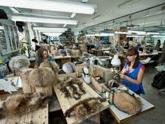 Депутаты предлагают запретить производство меха