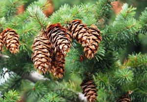 Приметы на 27 февраля: что нельзя делать в день Кирилла