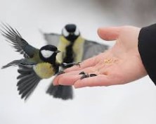 Приметы на 20 февраля: что обязательно нужно сделать в день Луки