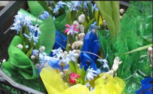 В Слов’янську починається операція «Первоцвіт-2019»: за зірвані квіти доведеться заплатити штраф