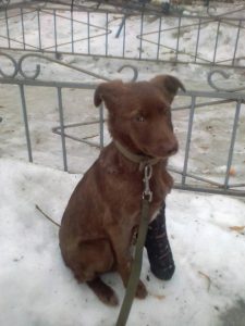 НЕ ПОКУПАЙ – ДАЙ ШАНС БЕЗДОМНОМУ!!!!!!