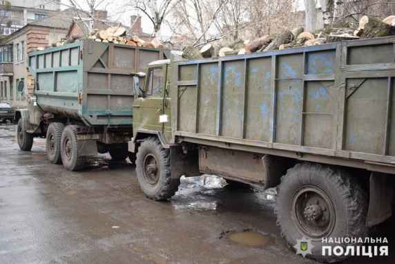 В Славянском и Лиманском районах группы “черных лесорубов” уничтожают деревья. Фото