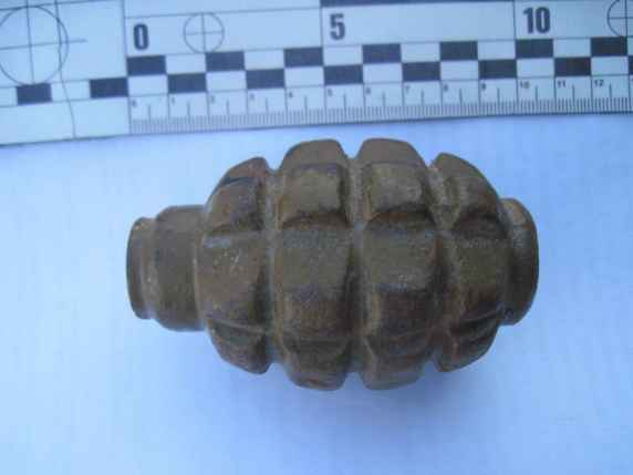 Житель Лиману добровільно видав поліцейським гранату