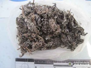 В Лиманському районі у перехожого поліцейські вилучили психоактивну речовину